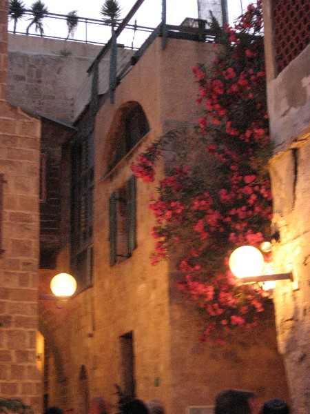 ../Images/Israel_Day1 017.jpg